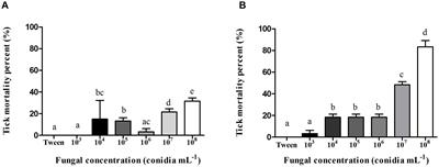 Ultrastructural and Cytotoxic Effects of Metarhizium robertsii Infection on Rhipicephalus microplus Hemocytes